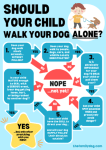 Should Children Walk Dogs Alone