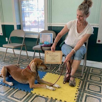 A woman engages in puppy training with a dog on a mat.