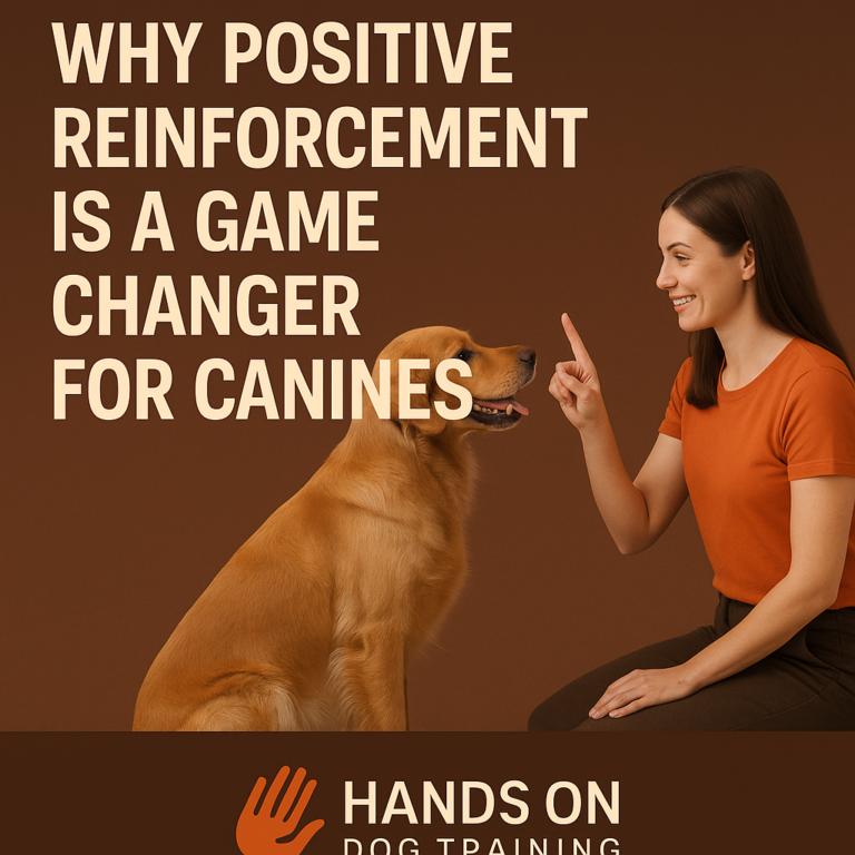 A woman in an orange shirt trains a golden retriever using positive reinforcement; the image promotes Hands On Dog Training.
