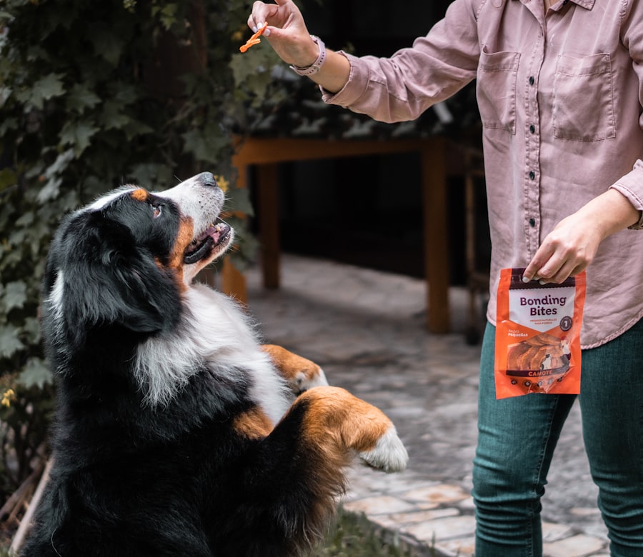 A person in a pink shirt holds a treat above a large dog standing on its hind legs, with a bag labeled "Bonding Bites" in the other hand.