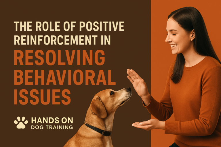 A woman gives a high five to a dog. Text reads: "The role of positive reinforcement in resolving behavioral issues. Hands On Dog Training.