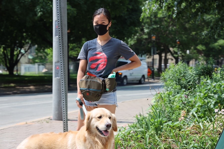 Photo Loose Leash Walking