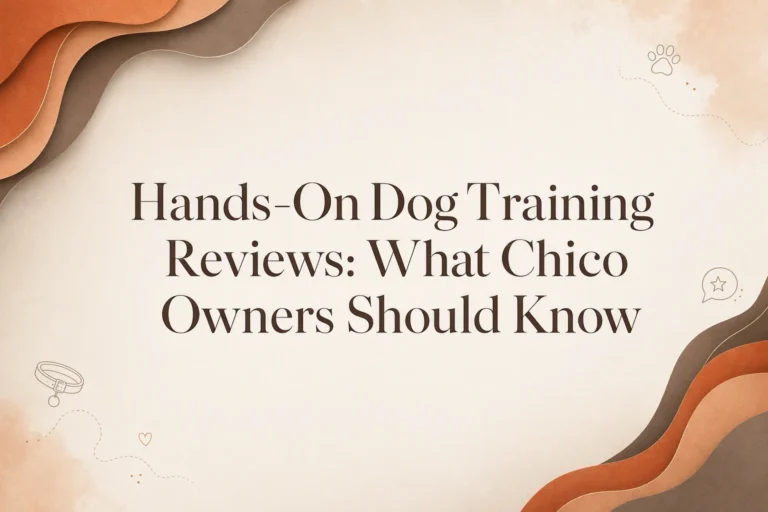 Text reading “Hands-On Dog Training Reviews: What Chico Owners Should Know” on a beige background with abstract brown and orange curved shapes.