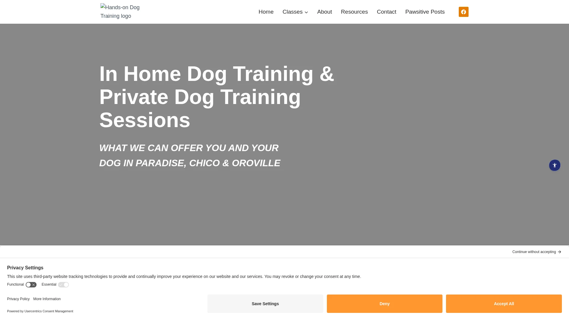 In-home one-on-one dog training